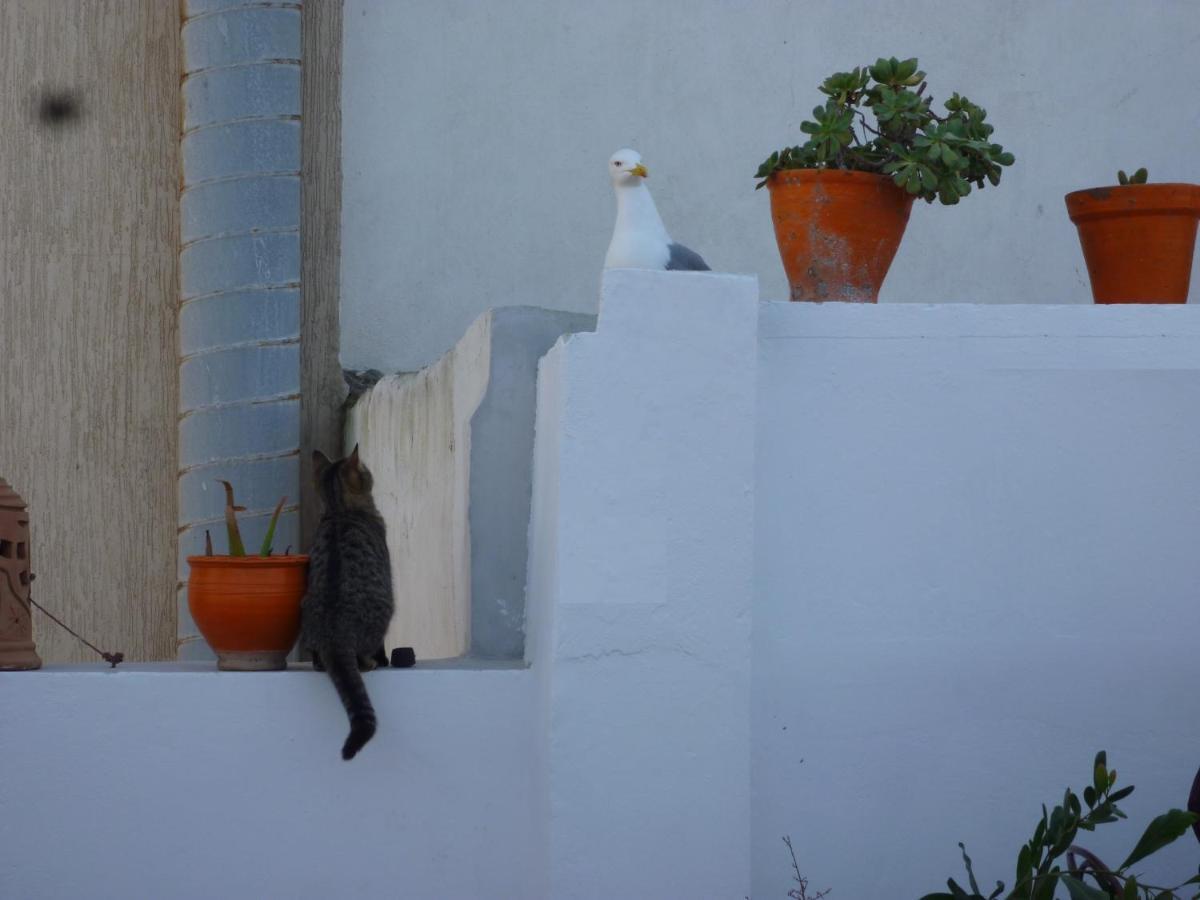 Riad Orange Cannelle Essaouira Eksteriør billede